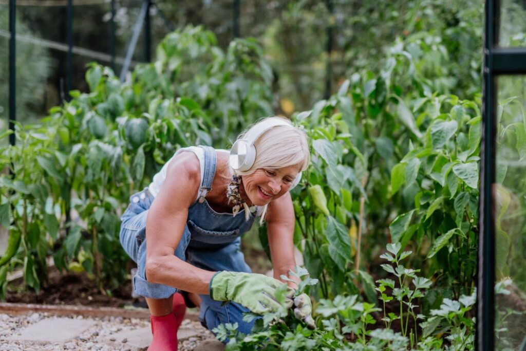 hören hörbücher: Gartenarbeit