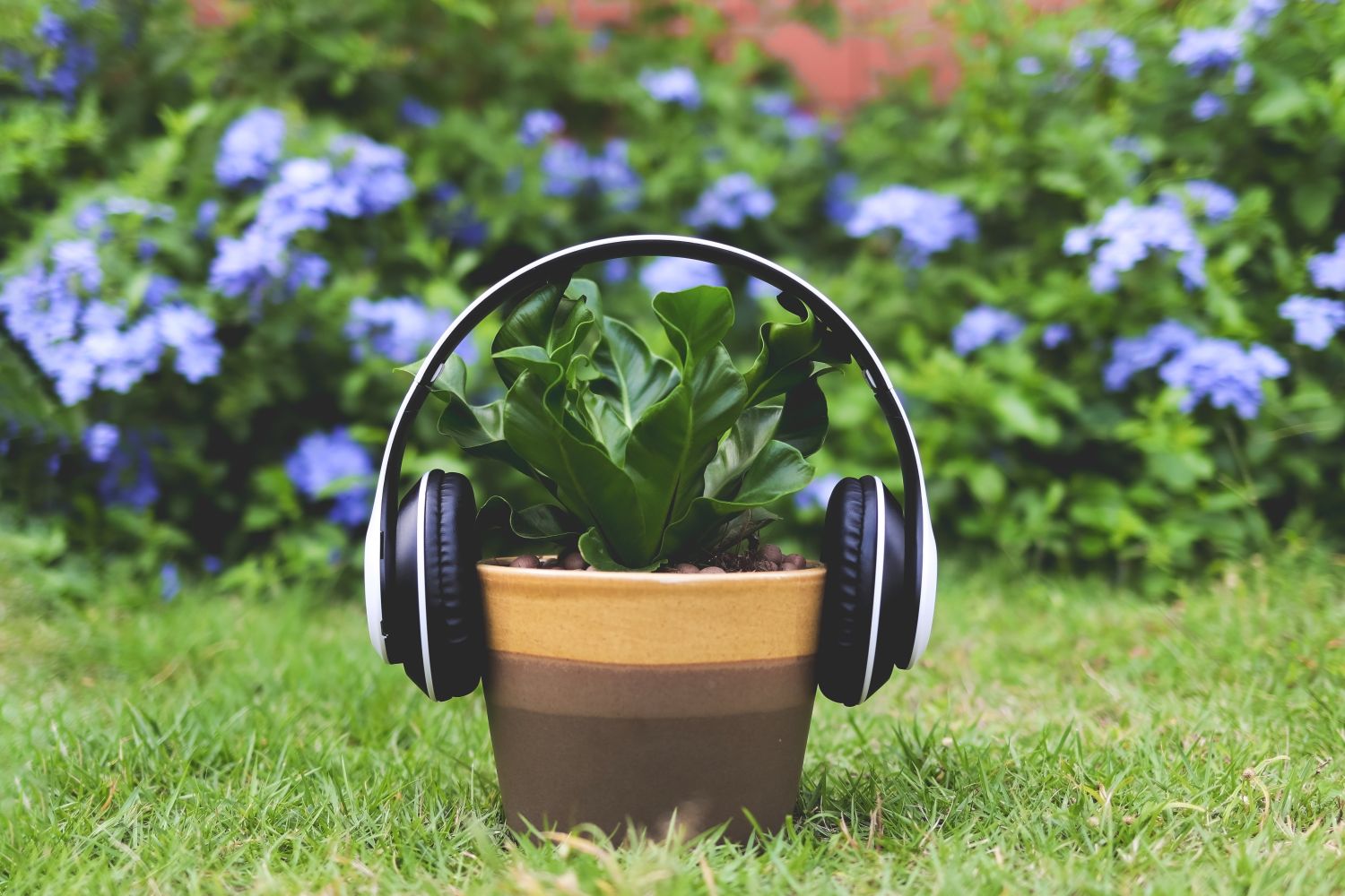 Kreativ werden im Garten: DIY-Ideen und Podcast-Empfehlungen für Ihr kleines Paradies